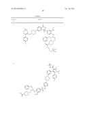 BCL-2/BCL-XL INHIBITORS AND THERAPEUTIC METHODS USING THE SAME diagram and image