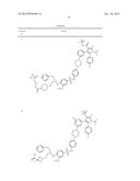 BCL-2/BCL-XL INHIBITORS AND THERAPEUTIC METHODS USING THE SAME diagram and image