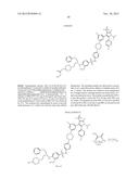 BCL-2/BCL-XL INHIBITORS AND THERAPEUTIC METHODS USING THE SAME diagram and image