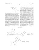 BCL-2/BCL-XL INHIBITORS AND THERAPEUTIC METHODS USING THE SAME diagram and image