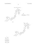 BCL-2/BCL-XL INHIBITORS AND THERAPEUTIC METHODS USING THE SAME diagram and image