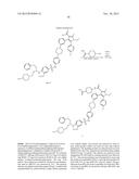 BCL-2/BCL-XL INHIBITORS AND THERAPEUTIC METHODS USING THE SAME diagram and image