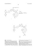 BCL-2/BCL-XL INHIBITORS AND THERAPEUTIC METHODS USING THE SAME diagram and image