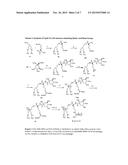 Mannose-Receptor Selective Lysinylated Cationic Amphiphiles and a Process     for Preparation Thereof diagram and image