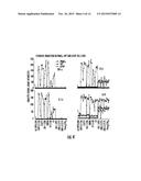 TOLL-LIKE RECEPTOR 2-AGONISTIC LIPOPEPTIDES, AND METHOD OF MAKING THE SAME diagram and image