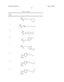 NOVEL ANTIBACTERIAL AGENTS FOR THE TREATMENT OF GRAM POSITIVE INFECTIONS diagram and image