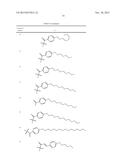 NOVEL ANTIBACTERIAL AGENTS FOR THE TREATMENT OF GRAM POSITIVE INFECTIONS diagram and image