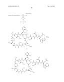 NOVEL ANTIBACTERIAL AGENTS FOR THE TREATMENT OF GRAM POSITIVE INFECTIONS diagram and image