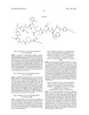 NOVEL ANTIBACTERIAL AGENTS FOR THE TREATMENT OF GRAM POSITIVE INFECTIONS diagram and image