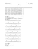 HUMANIZED OR AFFINITY-MATURED ANTI ANG-2 ANTIBODY AND USES THEREOF diagram and image