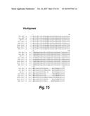 ANTIBODIES THAT BIND HUMAN CD27 AND USES THEREOF diagram and image