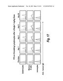 ANTIBODIES THAT BIND HUMAN CD27 AND USES THEREOF diagram and image