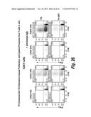 ANTIBODIES THAT BIND HUMAN CD27 AND USES THEREOF diagram and image