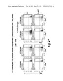 ANTIBODIES THAT BIND HUMAN CD27 AND USES THEREOF diagram and image