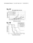 ANTIBODIES THAT BIND HUMAN CD27 AND USES THEREOF diagram and image