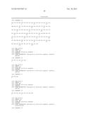 ANTIBODIES THAT BIND HUMAN CD27 AND USES THEREOF diagram and image