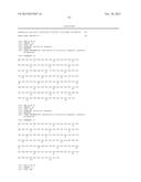 ANTIBODIES THAT BIND HUMAN CD27 AND USES THEREOF diagram and image