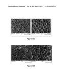 METATHESIZED TRIACYLGLYCEROL POLYOLS FOR USE IN POLYURETHANE APPLICATIONS     AND THEIR RELATED PROPERTIES diagram and image