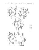 YEAST STRAINS PRODUCING MAMMALIAN-LIKE COMPLEX N-GLYCANS diagram and image