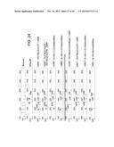 YEAST STRAINS PRODUCING MAMMALIAN-LIKE COMPLEX N-GLYCANS diagram and image