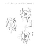 YEAST STRAINS PRODUCING MAMMALIAN-LIKE COMPLEX N-GLYCANS diagram and image