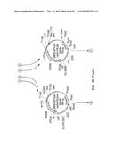 YEAST STRAINS PRODUCING MAMMALIAN-LIKE COMPLEX N-GLYCANS diagram and image