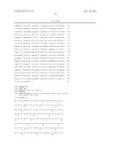 YEAST STRAINS PRODUCING MAMMALIAN-LIKE COMPLEX N-GLYCANS diagram and image