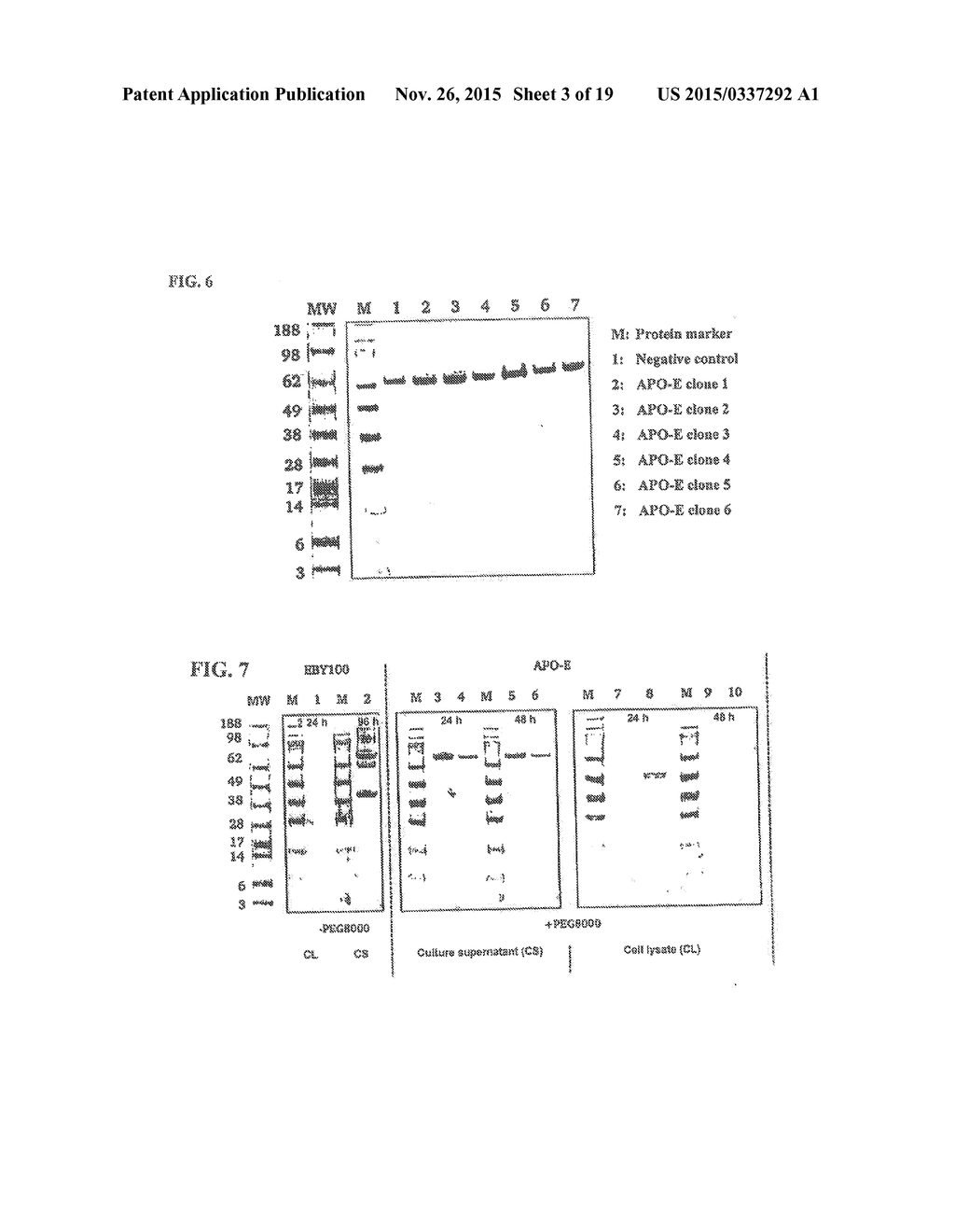 METHOD OF PRODUCING SECRETABLE ANTIBODIES BY EXPRESSION IN SACCHAROMYCES     CEREVISIAE - diagram, schematic, and image 04