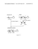 NOVEL EXPRESSION VECTOR diagram and image