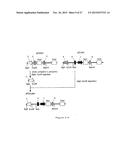 NOVEL EXPRESSION VECTOR diagram and image