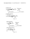 NOVEL EXPRESSION VECTOR diagram and image