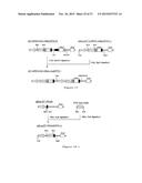 NOVEL EXPRESSION VECTOR diagram and image