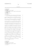 NOVEL EXPRESSION VECTOR diagram and image