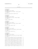 NOVEL EXPRESSION VECTOR diagram and image