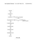 PENTOSE FERMENTATION BY A RECOMBINANT MICROORGANISM diagram and image