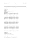 PENTOSE FERMENTATION BY A RECOMBINANT MICROORGANISM diagram and image