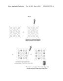 RAPID ANTIBIOTIC SUSCEPTIBILITY TESTING SYSTEM BASED ON BACTERIAL     IMMOBILIZATION USING GELLING AGENT, ANTIBIOTIC DIFFUSION AND TRACKING OF     SINGLE BACTERIAL CELLS diagram and image