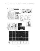 METHOD FOR IN VITRO DETECTION AND MONITORING OF A DISEASE BY MEASURING     DISEASE-ASSOCIATED PROTEASE ACTIVITY IN EXTRACELLULAR VESICLES diagram and image