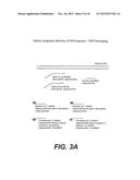 Polymerase Chain Reaction Detection System diagram and image