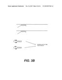 Polymerase Chain Reaction Detection System diagram and image