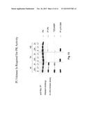 FURTHER USE OF PROTEIN KINASE N BETA diagram and image