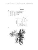 BINDING DOMAIN MAPPING diagram and image