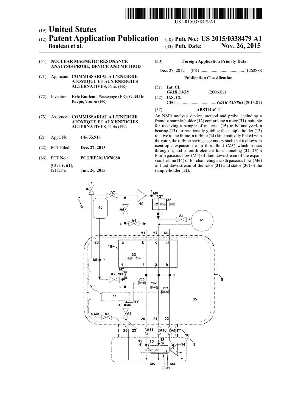 NUCLEAR MAGNETIC RESONANCE ANALYSIS PROBE, DEVICE AND METHOD - diagram, schematic, and image 01