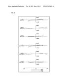 ZOOM LENS SYSTEM, INTERCHANGEABLE LENS APPARATUS AND CAMERA SYSTEM diagram and image