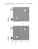 DISPLAY DEVICE diagram and image