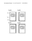 DISPLAY DEVICE diagram and image