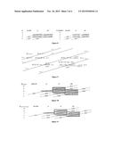 System, Apparatus, Method and Energy Product-by-Process for     Resonantly-Catalyzing Nuclear Fusion Energy Release, and the Underlying     Scientific Foundation diagram and image