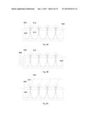 Hydroponics processes with high growth rates diagram and image