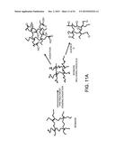 PROCESSING BIOMASS diagram and image