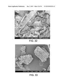 PROCESSING BIOMASS diagram and image